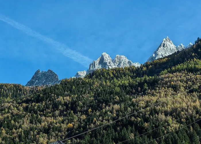 Chamois Blanc 1 - Haven *